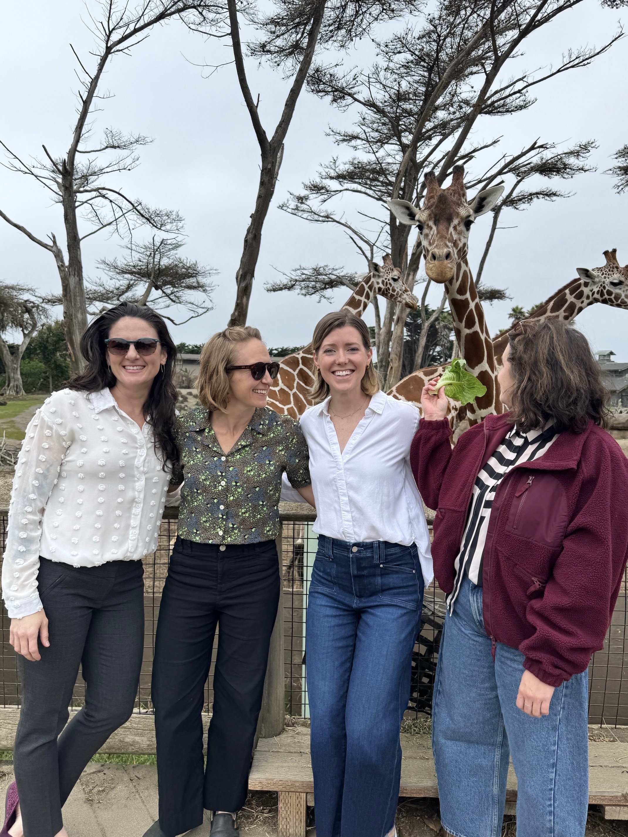 Mangrove team meetup
