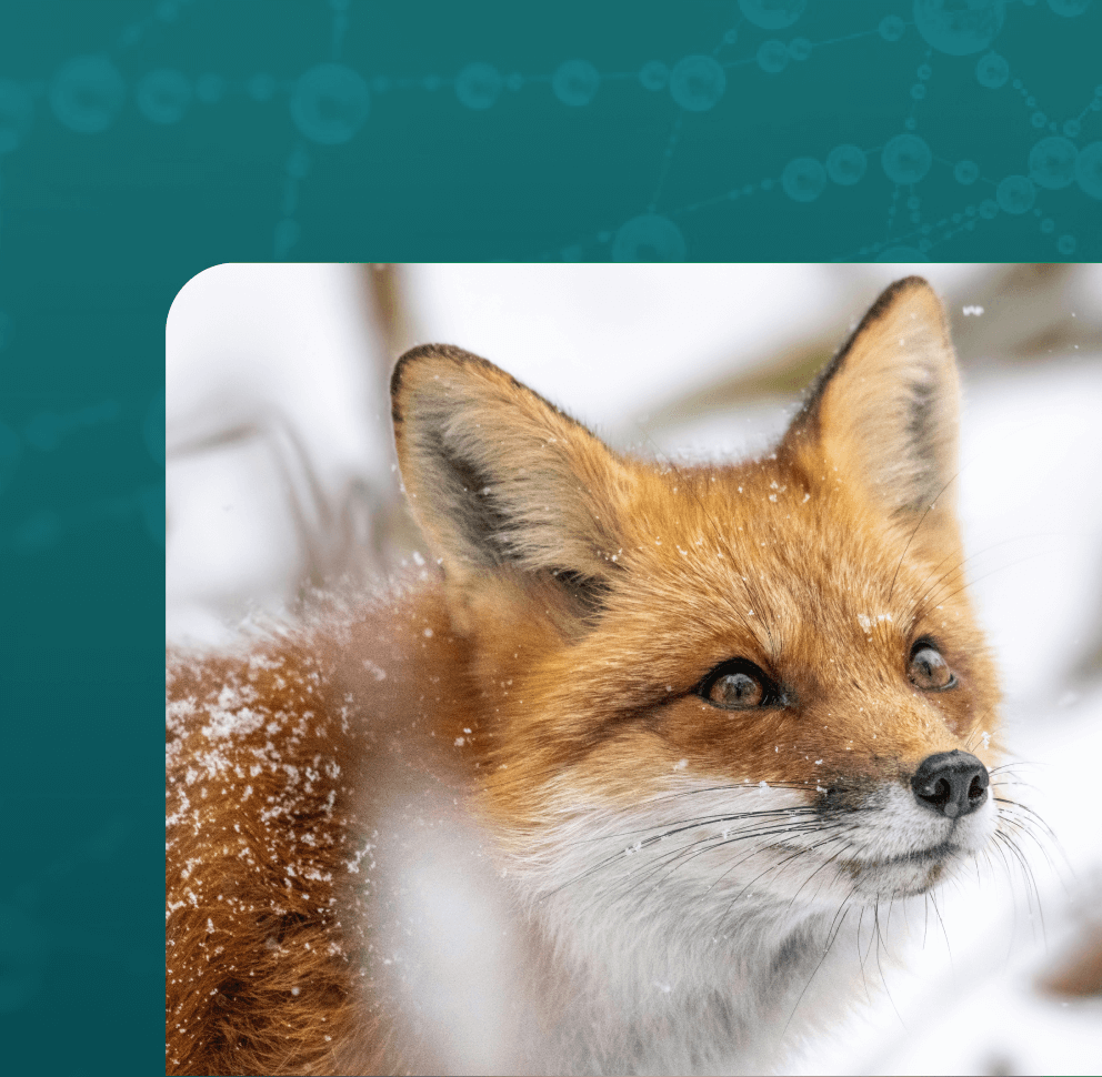 Biomimicry Institute hero image