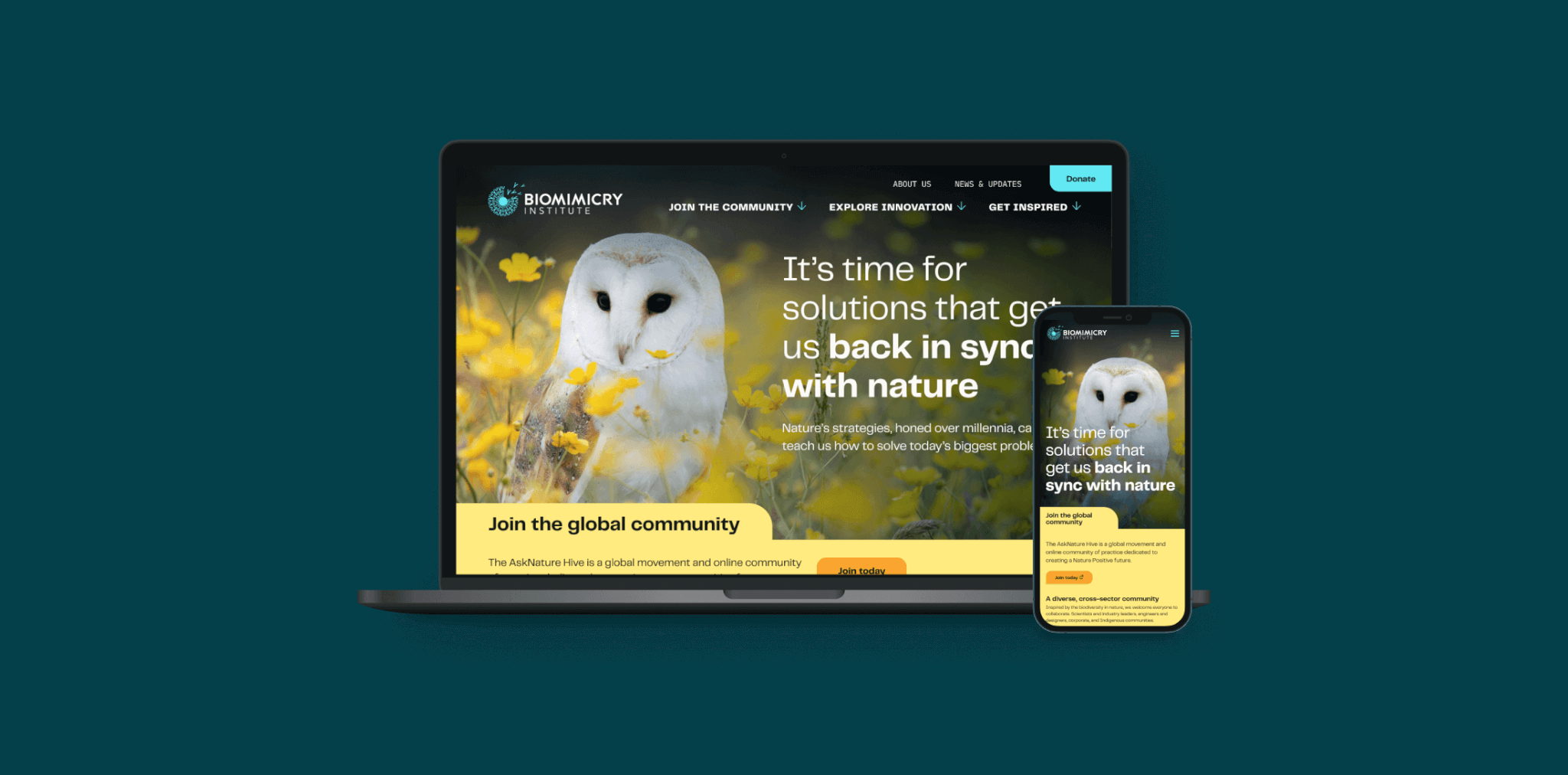 Biomimicry Institute website on laptop and mobile screens