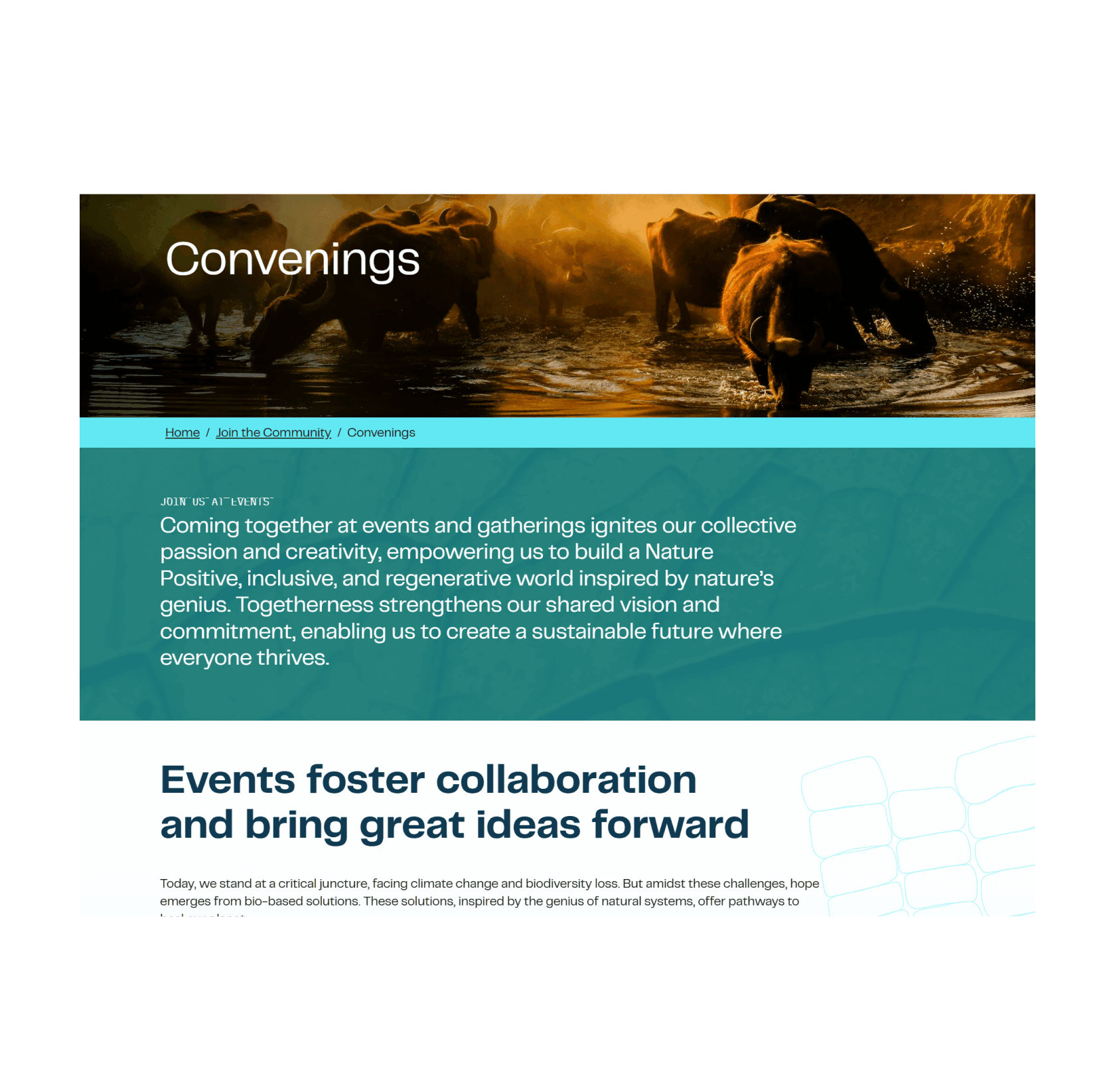Convenings screenshot