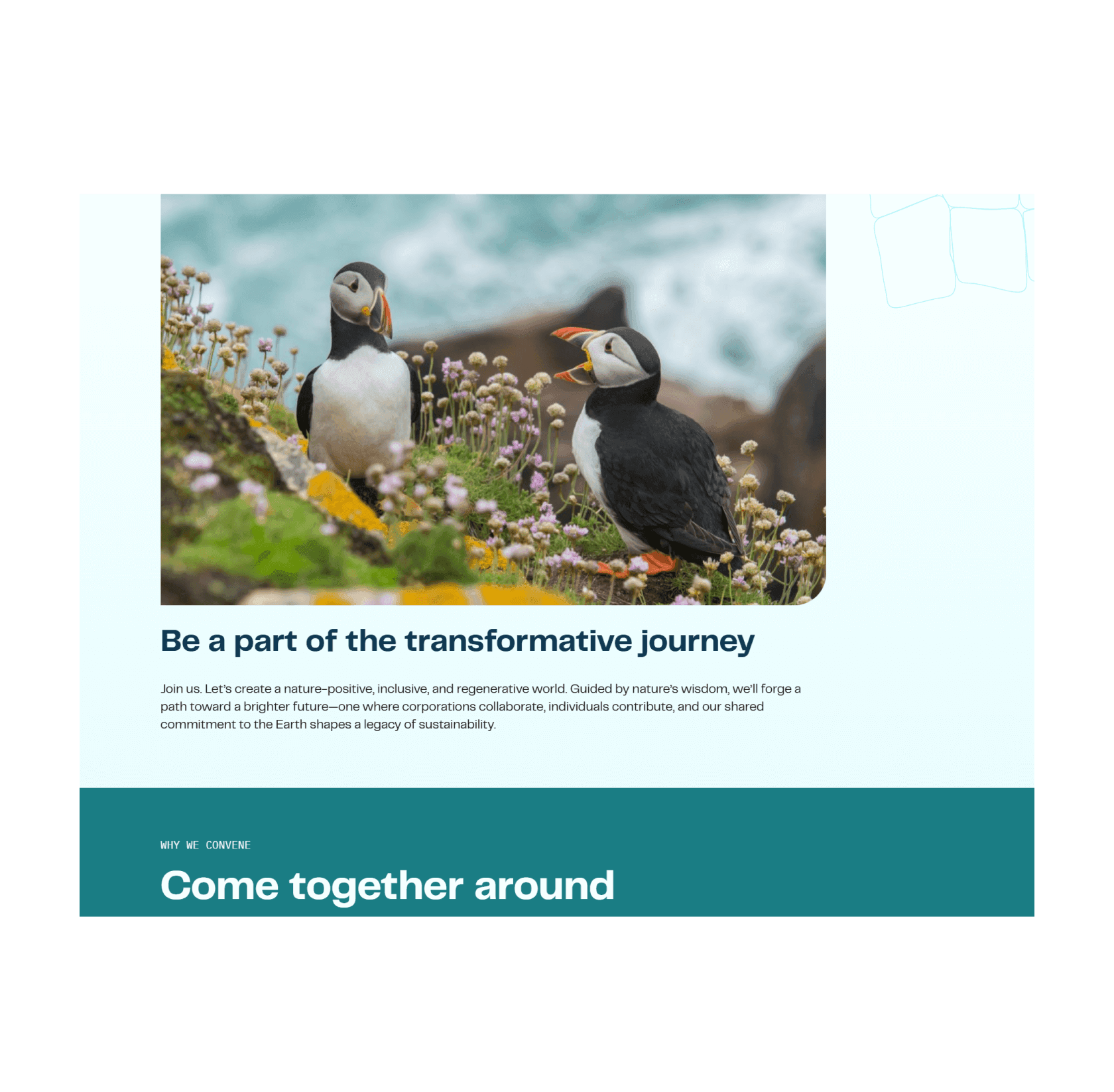 Biomimicry events screenshot