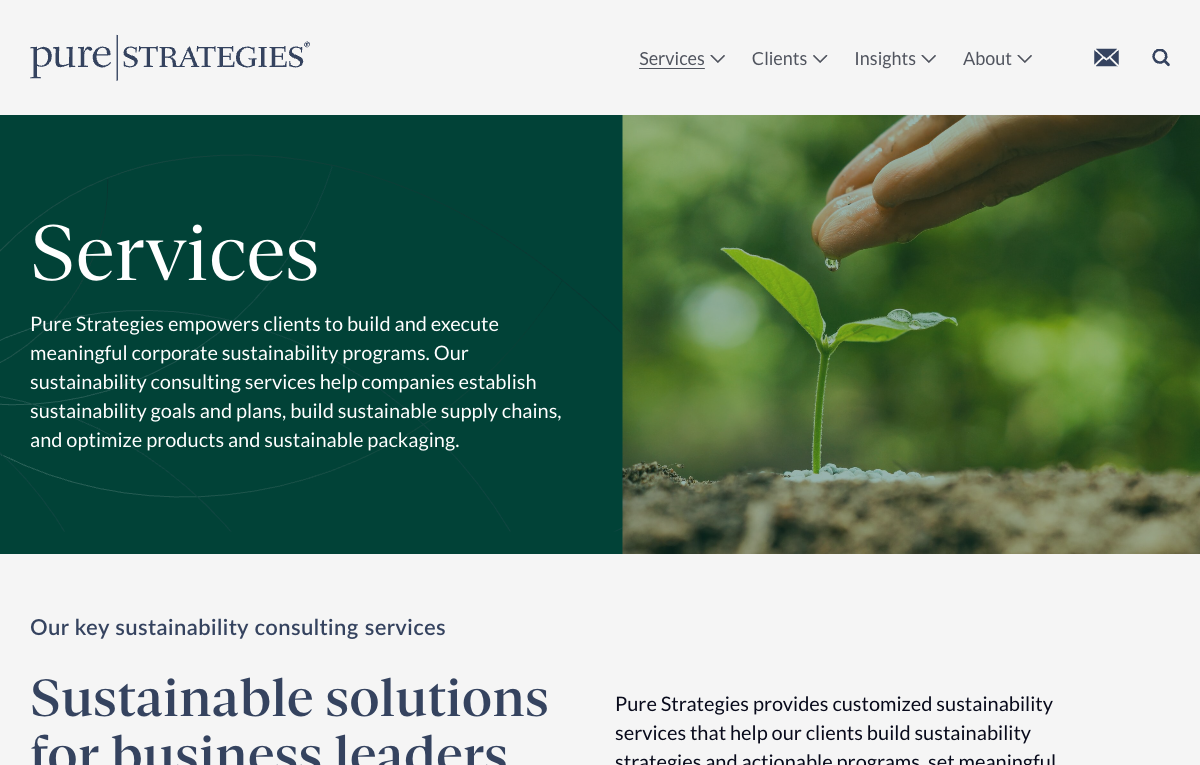 Pure Strategies services page screenshot